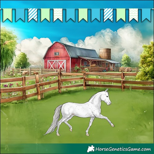 Horse Color:Silver Brown Sabino Blanket 