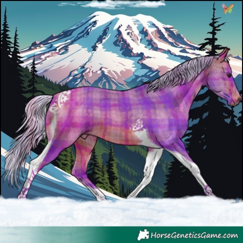 Horse Color:Watercolor Plaid  Silver Bay Tobiano 