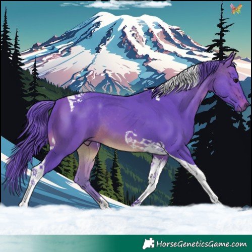 Horse Color:Watercolor Brown Tobiano 