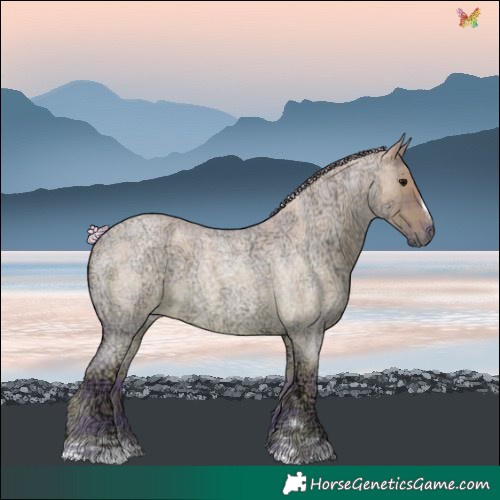Horse Color:Watercolor Plaid Silver Grullo Ice Roan
