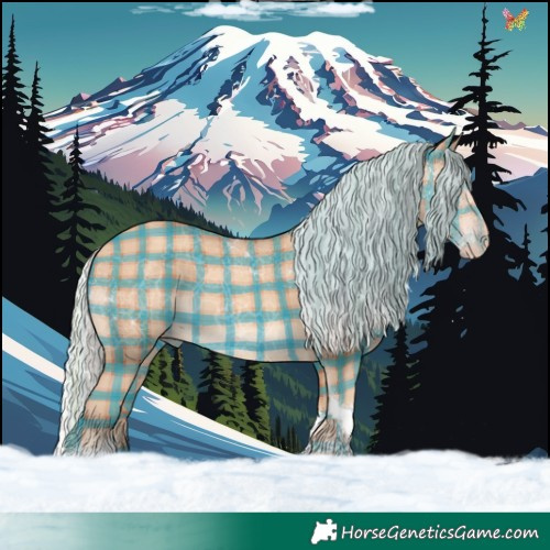 Horse Color:Plaid  Silver Classic Champagne Tobiano 
