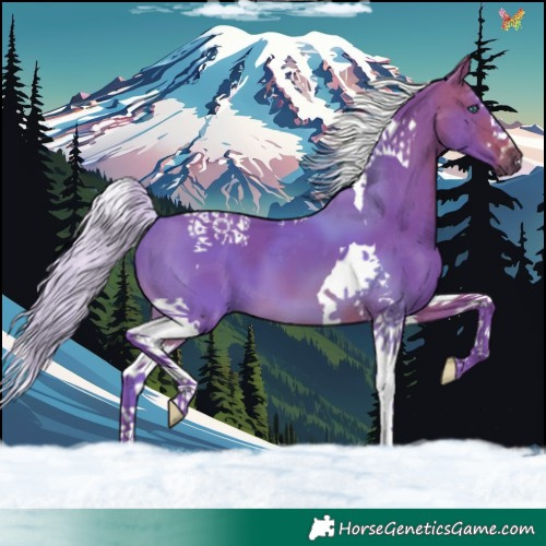 Horse Color:Watercolor Silver Brown Splash Tobiano