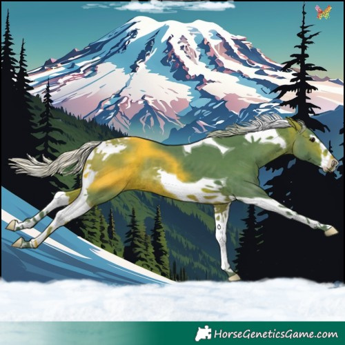 Horse Color:Watercolor Silver Brown Splash Tobiano