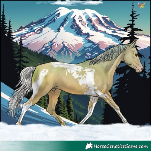 Horse Color:Watercolor Silver Sable Champagne Tobiano