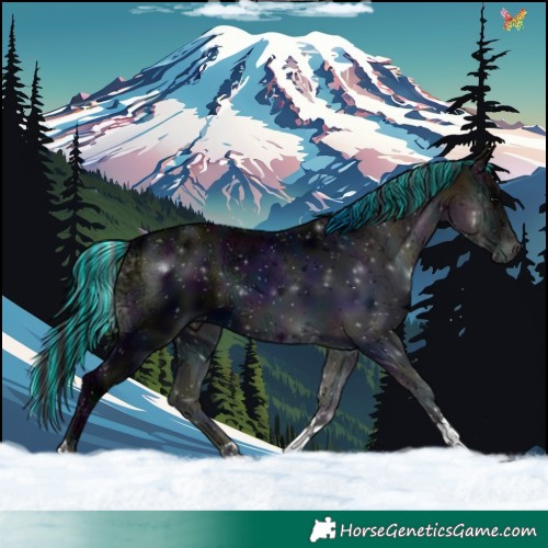 Horse Color:Painted Midnight Bay Ice Onyx Tobiano