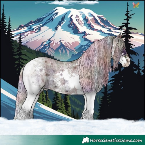 Horse Color:Nacre Silver Grullo Ice Roan Splash Tobiano