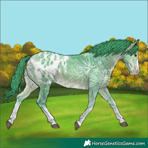 Horse Color:Watercolor White Spotted Bay Ice Blanket 