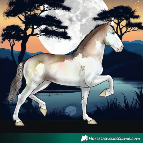 Horse Color:Brown Onyx Splash 