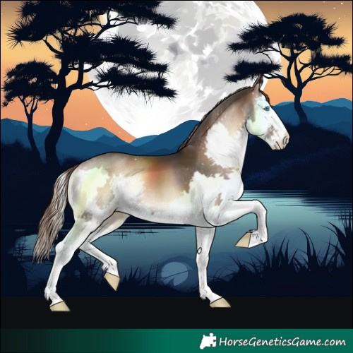 Horse Color:Liver Red Onyx Splash