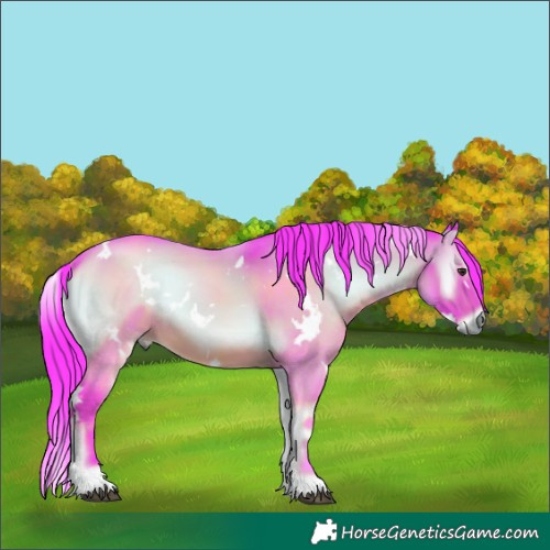 Horse Color:Watercolor White Spotted Liver Red Onyx