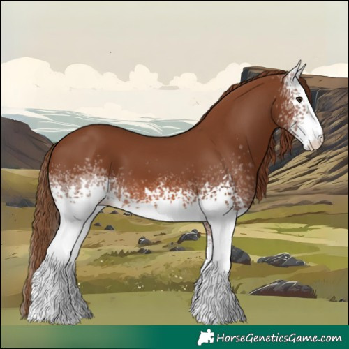 Horse Color:White Spotted Chestnut
