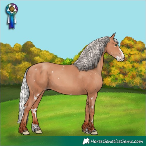 Horse Color:White Spotted Silver Sable Champagne Splash Rabicano
