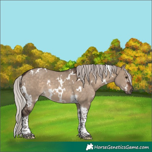 Horse Color:White Spotted Silver Brown Dun Tobiano