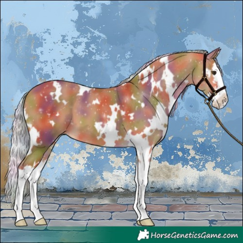 Horse Color:Nacre White Spotted Silver Bay Splash