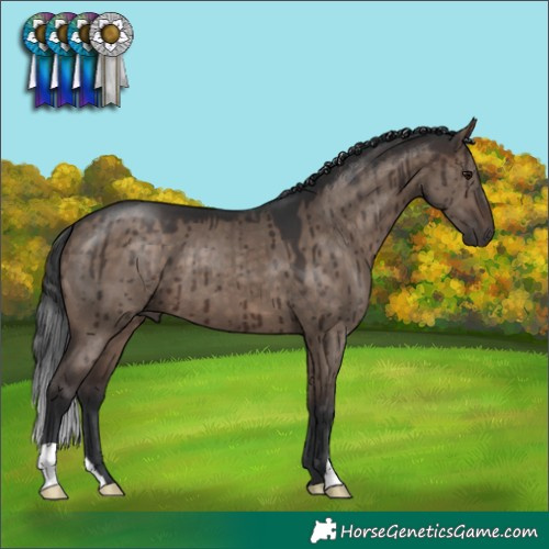 Horse Color:Brown Dun Brindle 