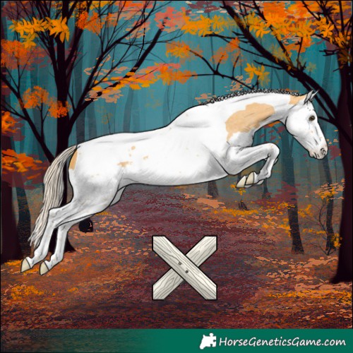 Horse Color:Palomino Roan Splash Tobiano 