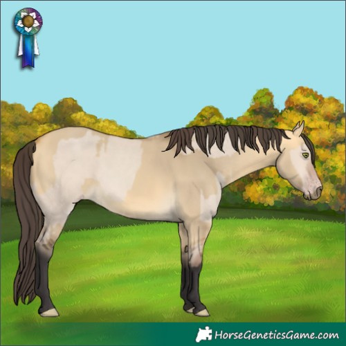 Horse Color:Amber Champagne Dun and Buckskin Dun