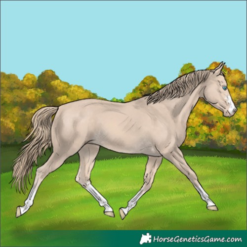 Horse Color:Perlino