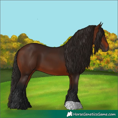 Horse Color:Gray Bay 