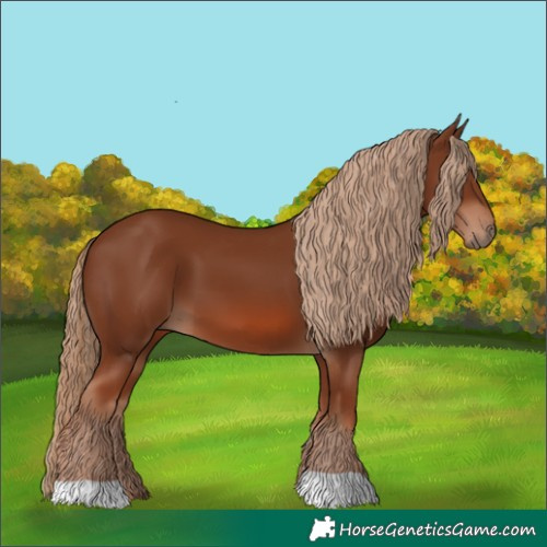 Horse Color:Chestnut 