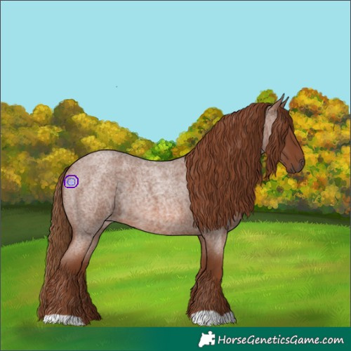 Horse Color:Red Roan 