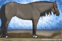 Horse Color:Smoky Grullo 