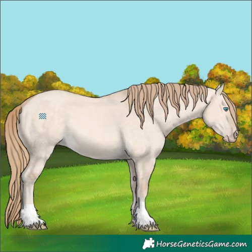Horse Color:Perlino Dun