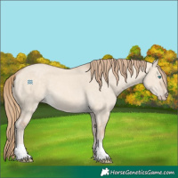 Horse Color:Perlino Dun 