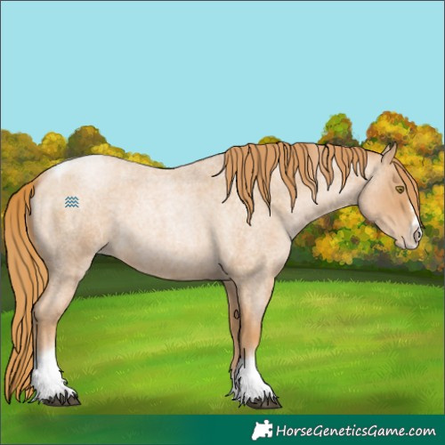 Horse Color:Red Roan Pearl Tobiano Frame 