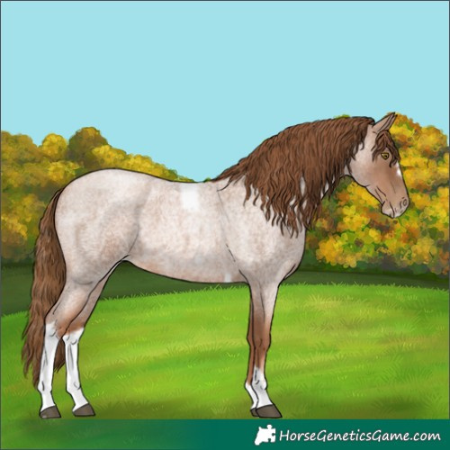 Horse Color:Liver Red Roan Pearl Tobiano Frame