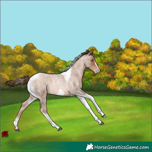 Horse Color:Liver Red Roan Pearl Tobiano Frame 