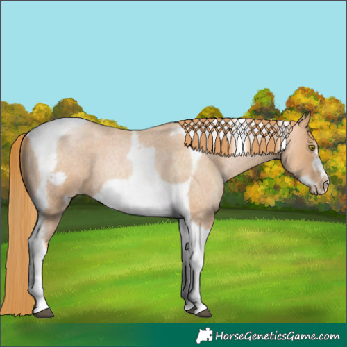 Horse Color:Red Roan Pearl Tobiano Frame 
