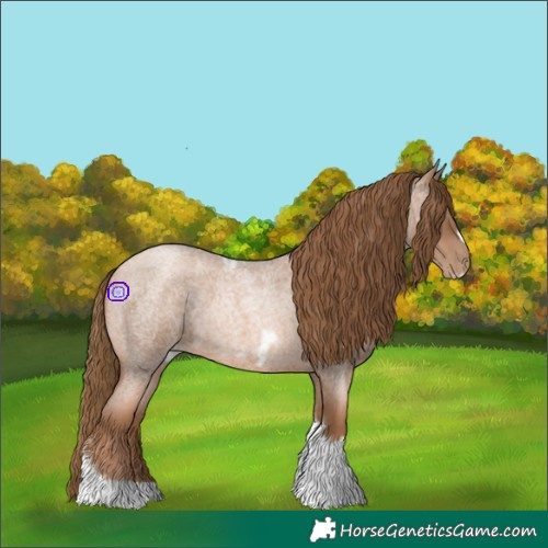 Horse Color:Liver Red Roan Pearl Tobiano Frame