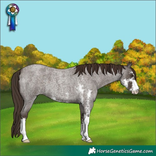 Horse Color:Liver Red Roan Sabino 