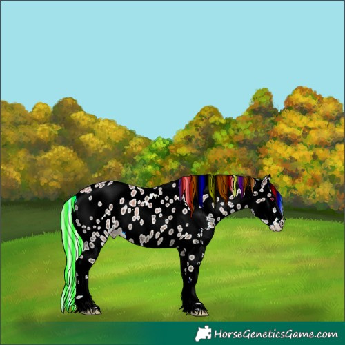 Horse Color:Painted White Spotted Chocolate Silver Classic Champagne Ice Dun Splash Leopard Rabicano