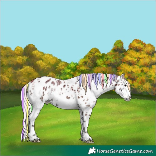 Horse Color:Painted White Spotted Chocolate Silver Classic Champagne Ice Onyx Splash Leopard Rabicano 