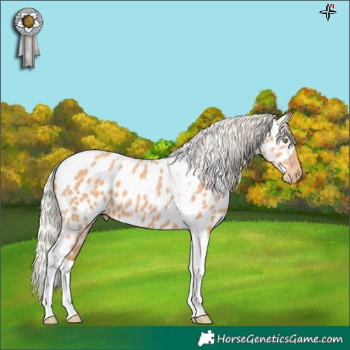 Horse Color:Silver Amber Champagne Tobiano Near Leopard 