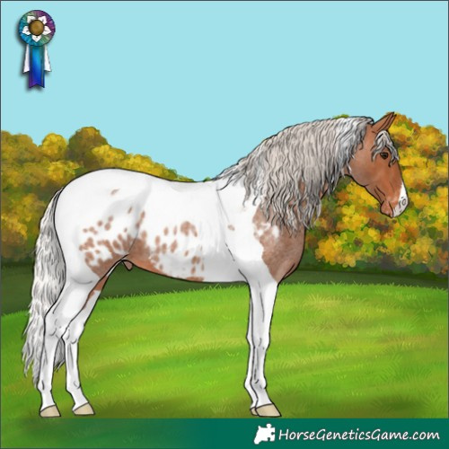 Horse Color:Silver Bay Roan Tobiano Blanket