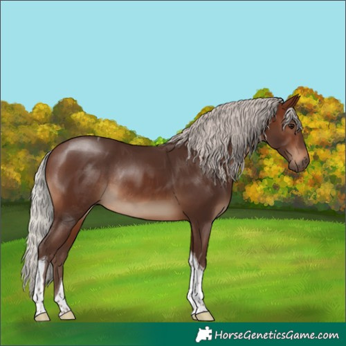 Horse Color:Silver Brown Tobiano Rabicano
