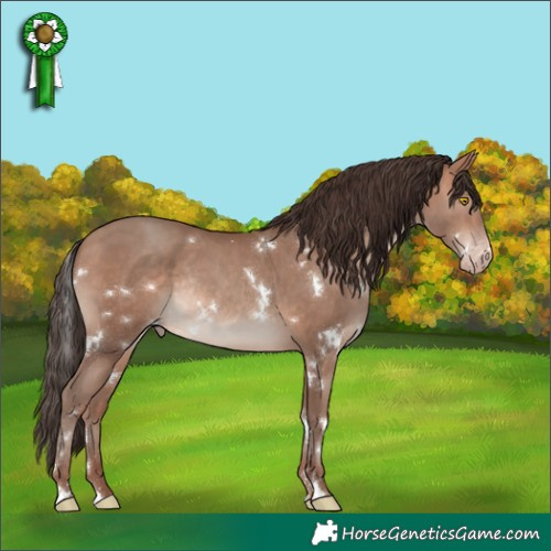 Horse Color:White Spotted Sable Champagne Rabicano