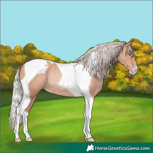 Horse Color:Silver Sable Champagne Tobiano Rabicano 