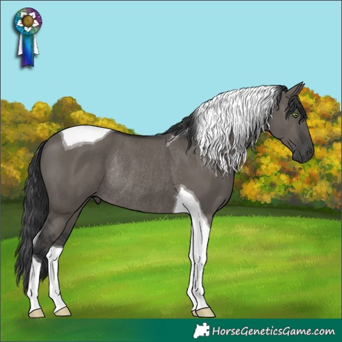Horse Color:Grullo Tobiano Rabicano 