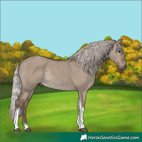 Horse Color:Silver Grullo Tobiano Rabicano 