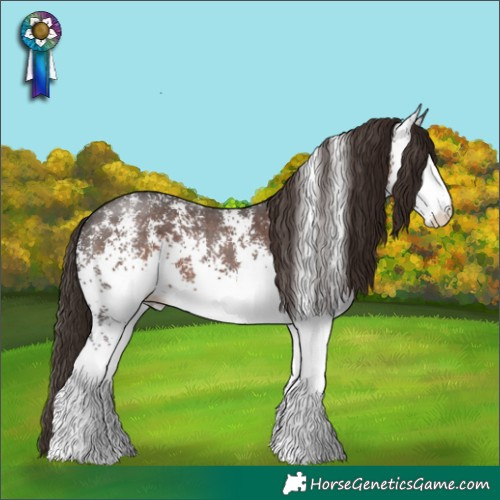 Horse Color:White Spotted Liver Chestnut Rabicano 