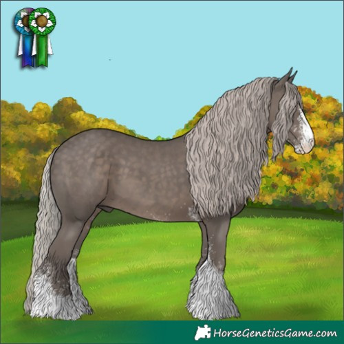 Horse Color:White Spotted Silver Black Tobiano Rabicano