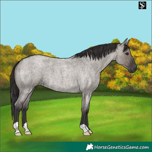 Horse Color:Smoky Grullo Roan