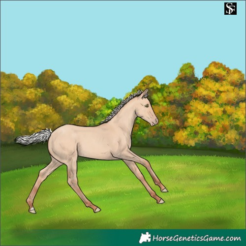 Horse Color:Silver Amber Champagne Dun