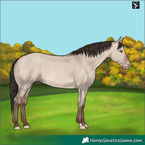 Horse Color:Sable Champagne Dun