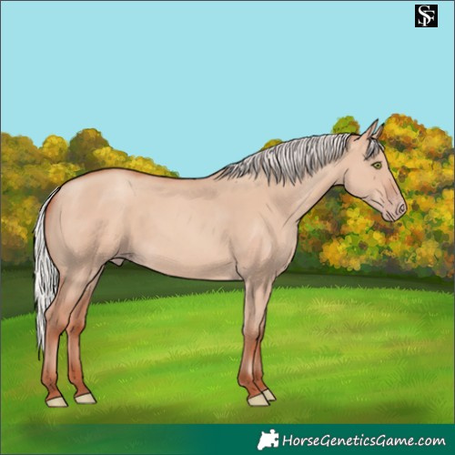 Horse Color:Silver Sable Champagne Dun