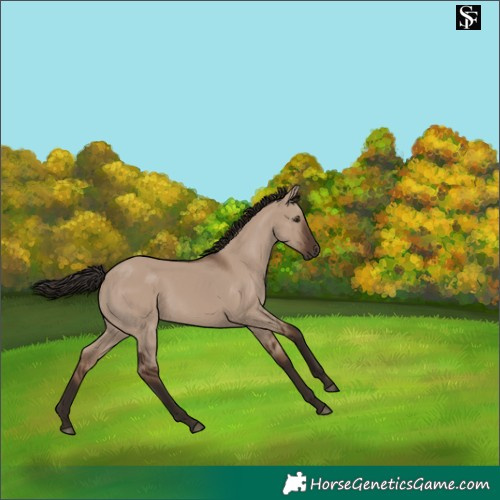 Horse Color:Liver Red Dun 